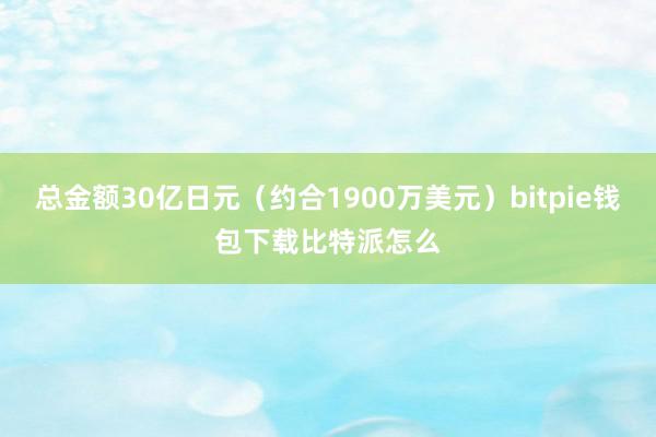 总金额30亿日元（约合1900万美元）bitpie钱包下载比特派怎么