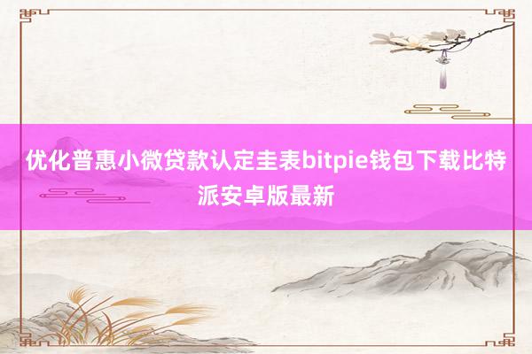 优化普惠小微贷款认定圭表bitpie钱包下载比特派安卓版最新