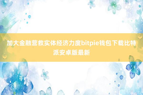 加大金融营救实体经济力度bitpie钱包下载比特派安卓版最新