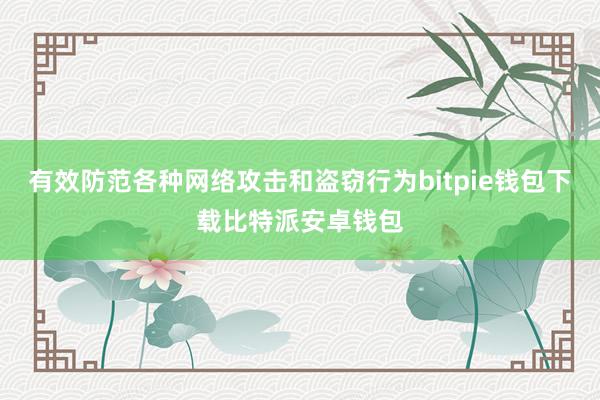 有效防范各种网络攻击和盗窃行为bitpie钱包下载比特派安卓钱包