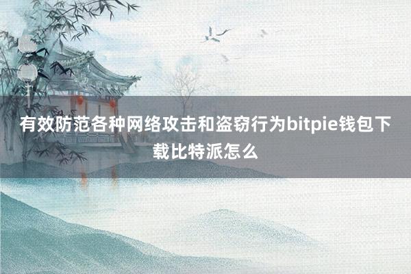 有效防范各种网络攻击和盗窃行为bitpie钱包下载比特派怎么