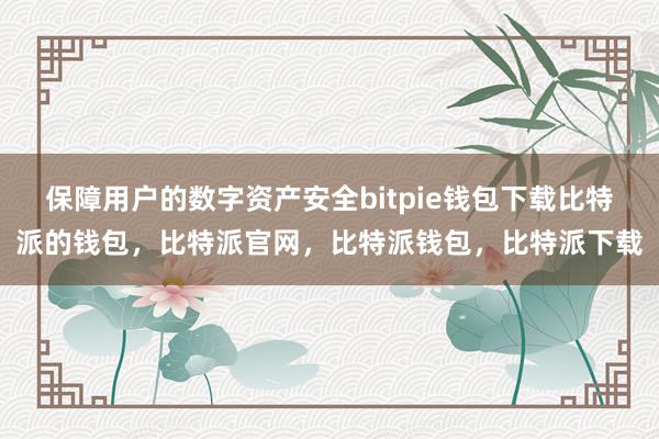 保障用户的数字资产安全bitpie钱包下载比特派的钱包，比特派官网，比特派钱包，比特派下载