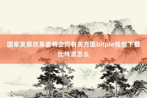 国家发展改革委将会同有关方面bitpie钱包下载比特派怎么