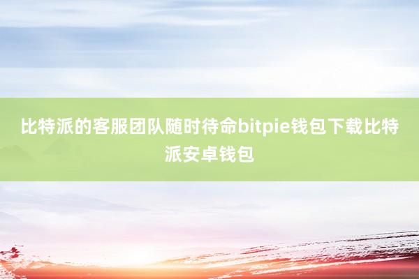 比特派的客服团队随时待命bitpie钱包下载比特派安卓钱包