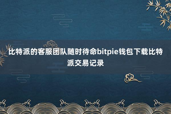 比特派的客服团队随时待命bitpie钱包下载比特派交易记录