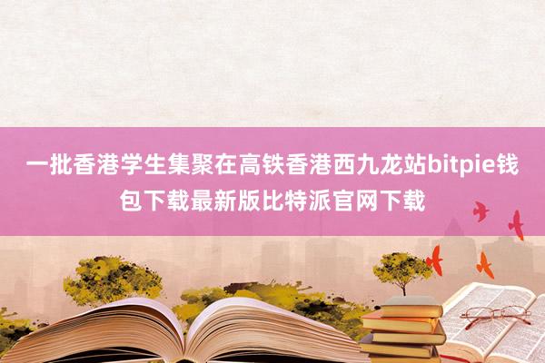 一批香港学生集聚在高铁香港西九龙站bitpie钱包下载最新版比特派官网下载