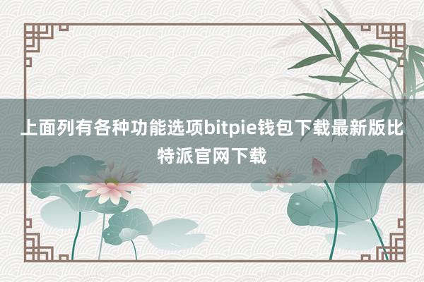 上面列有各种功能选项bitpie钱包下载最新版比特派官网下载