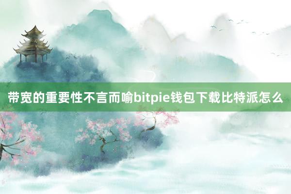 带宽的重要性不言而喻bitpie钱包下载比特派怎么