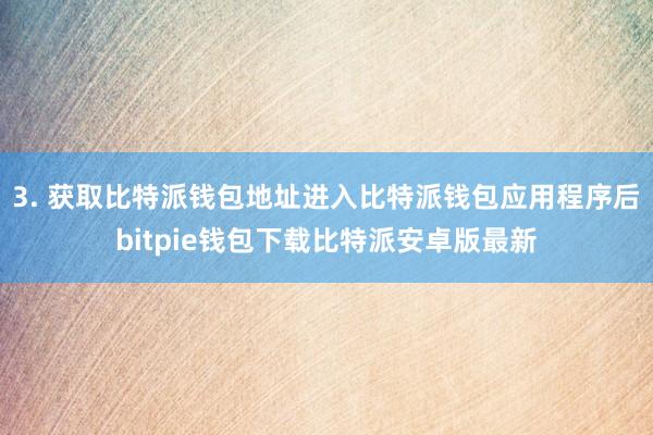 3. 获取比特派钱包地址进入比特派钱包应用程序后bitpie钱包下载比特派安卓版最新