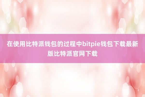 在使用比特派钱包的过程中bitpie钱包下载最新版比特派官网下载