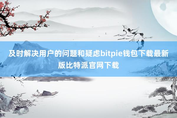 及时解决用户的问题和疑虑bitpie钱包下载最新版比特派官网下载