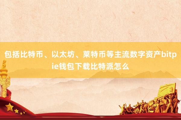 包括比特币、以太坊、莱特币等主流数字资产bitpie钱包下载比特派怎么