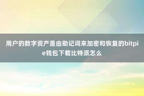 用户的数字资产是由助记词来加密和恢复的bitpie钱包下载比特派怎么