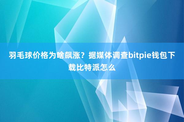 羽毛球价格为啥飙涨？据媒体调查bitpie钱包下载比特派怎么