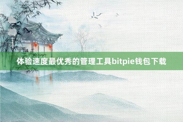 体验速度最优秀的管理工具bitpie钱包下载