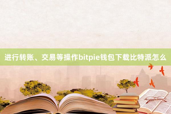 进行转账、交易等操作bitpie钱包下载比特派怎么