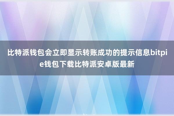 比特派钱包会立即显示转账成功的提示信息bitpie钱包下载比特派安卓版最新