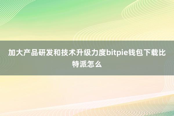 加大产品研发和技术升级力度bitpie钱包下载比特派怎么