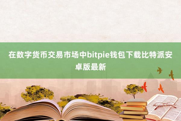 在数字货币交易市场中bitpie钱包下载比特派安卓版最新