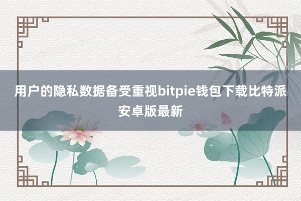 用户的隐私数据备受重视bitpie钱包下载比特派安卓版最新