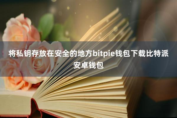 将私钥存放在安全的地方bitpie钱包下载比特派安卓钱包