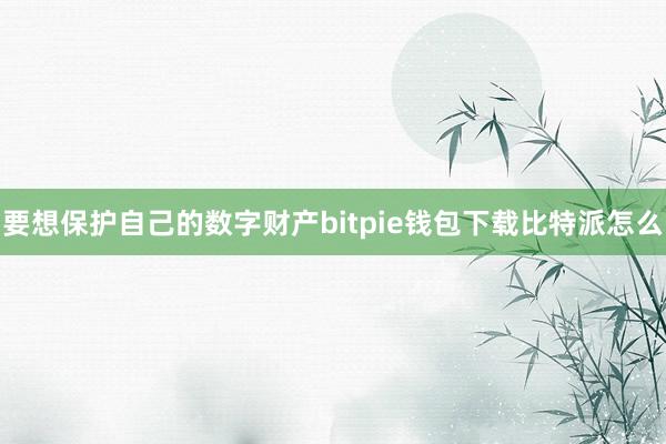 要想保护自己的数字财产bitpie钱包下载比特派怎么