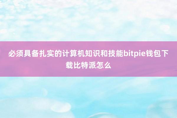 必须具备扎实的计算机知识和技能bitpie钱包下载比特派怎么