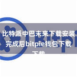 比特派中巴未来下载安装完成后bitpie钱包下载