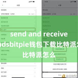 send and receive fundsbitpie钱包下载比特派怎么