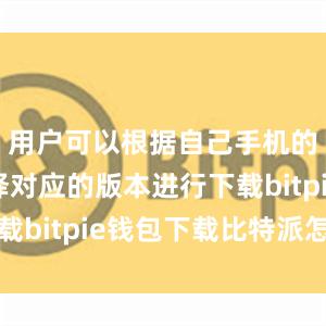 用户可以根据自己手机的系统选择对应的版本进行下载bitpie钱包下载比特派怎么