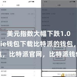 美元指数大幅下跌1.06%bitpie钱包下载比特派的钱包，比特派官网，比特派钱包，比特派下载