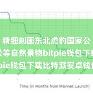 精细刻画东北虎豹国家公园的雪松等自然景物bitpie钱包下载比特派安卓钱包