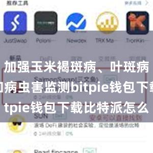 加强玉米褐斑病、叶斑病、锈病和病虫害监测bitpie钱包下载比特派怎么