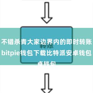 不错杀青大家边界内的即时转账bitpie钱包下载比特派安卓钱包