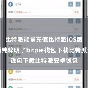 比特派能量充值比特派iOS版块的界面纯粹明了bitpie钱包下载比特派安卓钱包